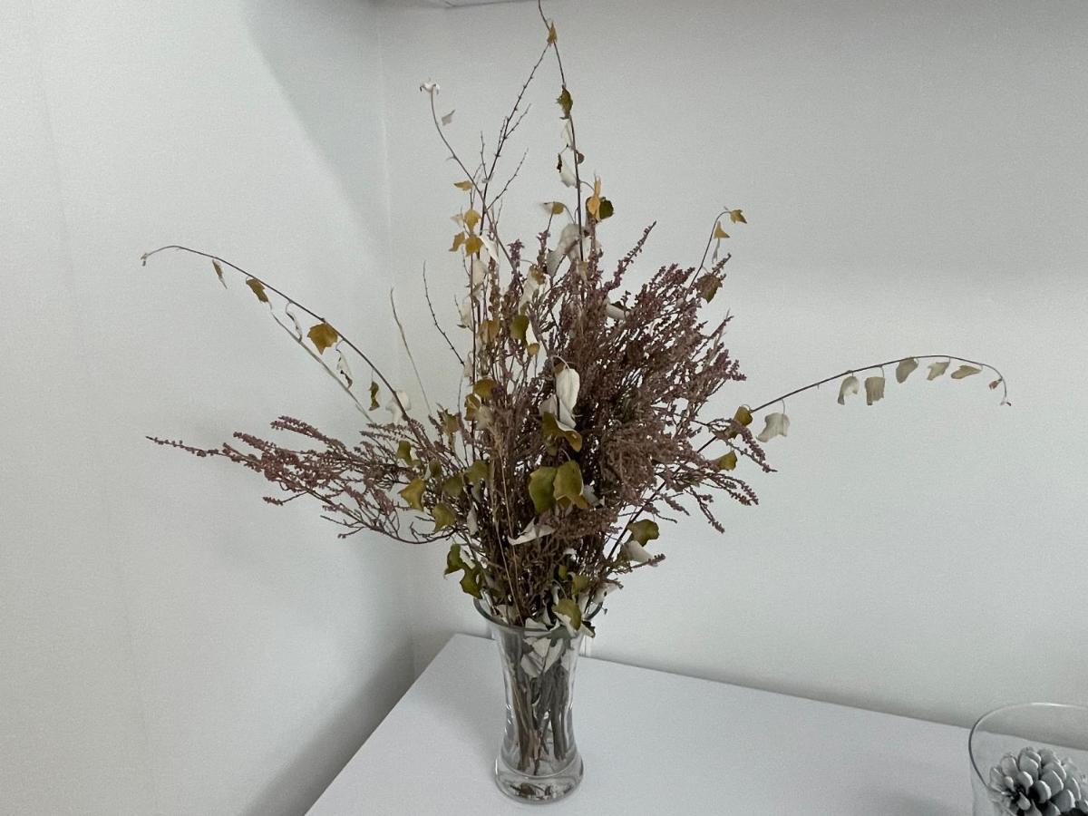 Appartamento Apartamento Pinares Soria Esterno foto